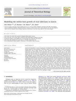 Modelling the within-host growth of viral infections in insects