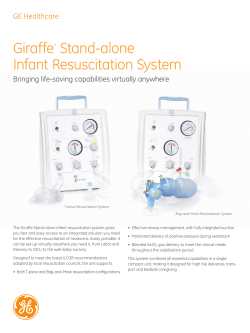 Giraffe* Stand-alone Infant Resuscitation System