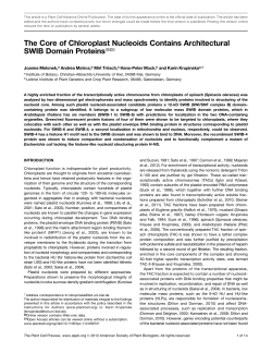 The Core of Chloroplast Nucleoids Contains
