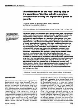 Characterization of the rate-limiting step of the