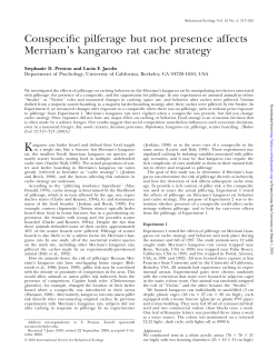 Conspecific pilferage but not presence affects Merriam`s kangaroo