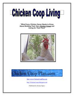 Chicken Book for Students