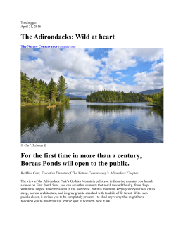 The Adirondacks: Wild at heart For the first time in more than a