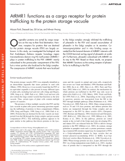 AtRMR1 functions as a cargo receptor for protein trafficking to the