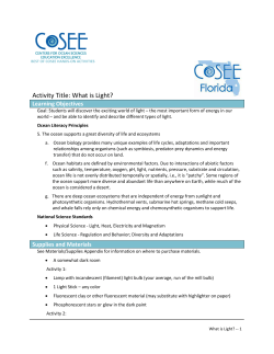 Activity Title: What is Light?