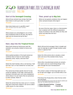 franklin park zoo scavenger hunt