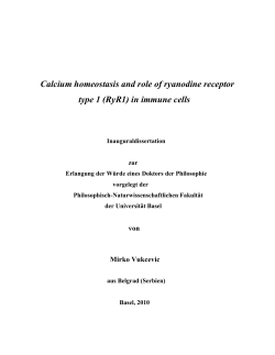 Calcium homeostasis and role of ryanodine receptor type 1 (RyR1