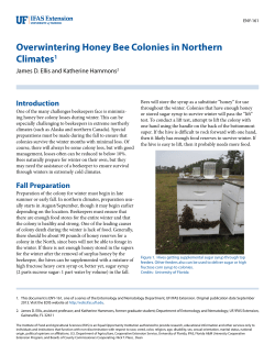 Overwintering Honey Bee Colonies in Northern Climates