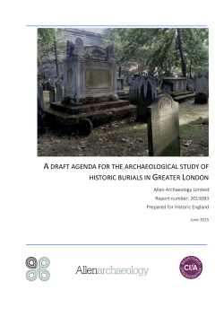 a draft agenda for the archaeological study of