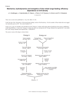 Mechanics, hydrodynamics and energetics of blue whale lunge