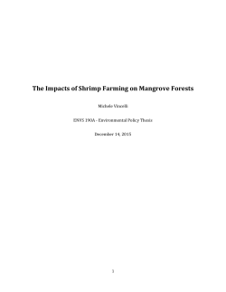 The Impacts of Shrimp Farming on Mangrove Forests