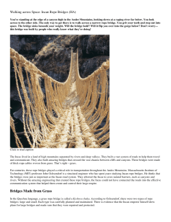 Bridges Made from Grass