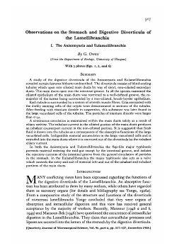 Observations on the Stomach and Digestive Diverticula of the