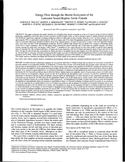 Energy Flow through the Marine Ecosystem of the Lancaster Sound