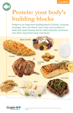 Protein is an important building block of bones