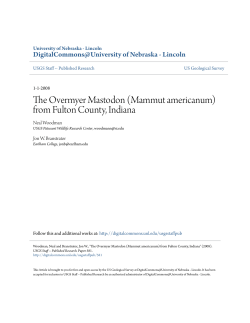 The Overmyer Mastodon - DigitalCommons@University of Nebraska