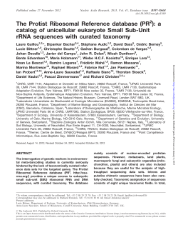 The Protist Ribosomal Reference database (PR ) - Archimer