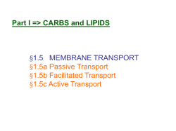 Passive Transport&mdash;Mechanism