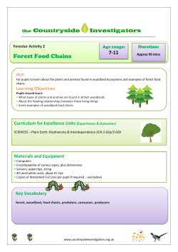 Forest Food Chains - Countryside Learning Scotland