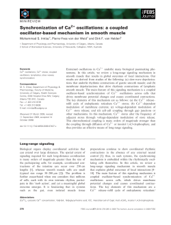 Synchronization of Ca oscillations: a coupled
