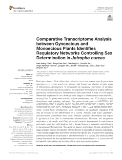 Comparative Transcriptome Analysis between Gynoecious and