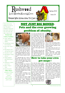 Pets and the ever growing problem of obesity.