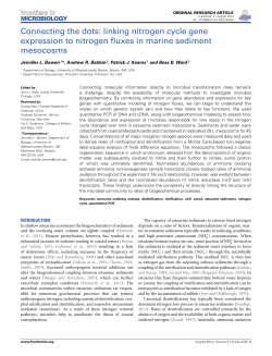 Connecting the dots: linking nitrogen cycle gene expression to