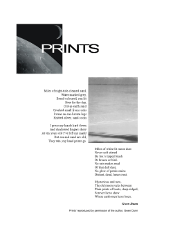 Prints / Rain / Spinner - International School of Madrid