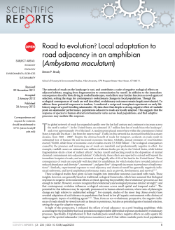 Local adaptation to road adjacency in an amphibian