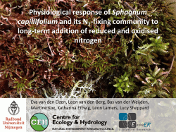 Physiological response of Sphagnum capillifolium and its N