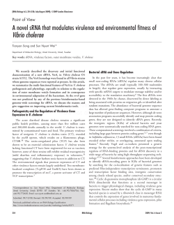 A novel sRNA that modulates virulence and environmental fitness of