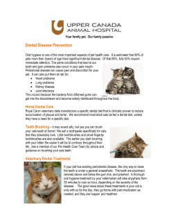 Kitten Health the Guide