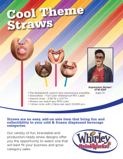 Cool Theme Straws - Whirley DrinkWorks