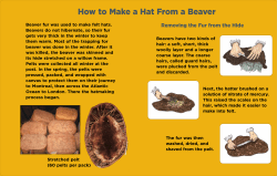 How to Make a Hat From a Beaver