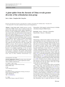 A giant spider from the Jurassic of China reveals greater diversity of