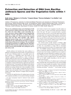 Extraction and Detection of DNA from Bacillus