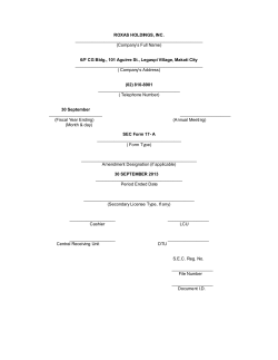 2013 RHI 17-A Annual Report