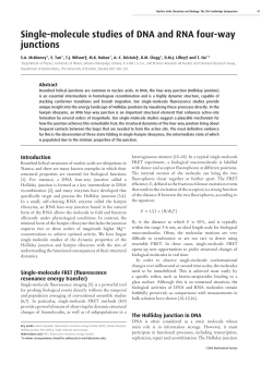 Single-molecule studies of DNA and RNA four