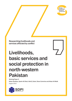 Livelihoods, basic services and social protection in north