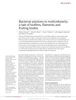 Bacterial solutions to multicellularity: a tale of