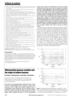 Mitochondrial genome variation and the origin of modern humans
