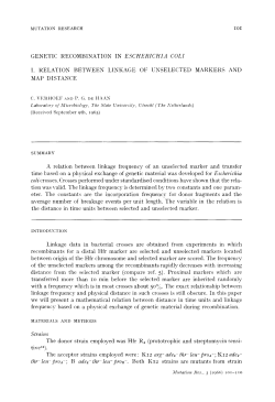 Strains - Utrecht University Repository