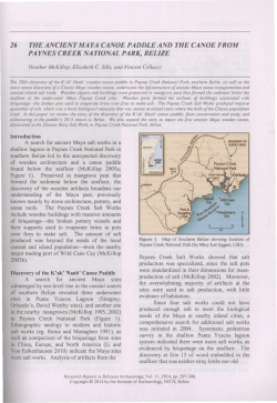 26 THE ANCIENT MAYA CANOE PADDLE AND THE CANOE