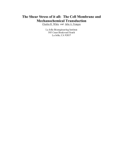 The Shear Stress of it all: The Cell Membrane and