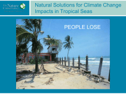 Natural Solutions for Climate Change Impacts in Tropical Seas