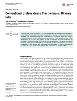 Conventional protein kinase C in the brain: 40 years later