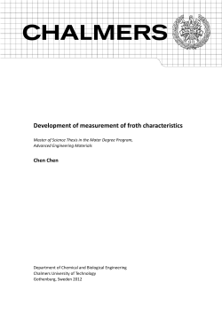 Development of measurement of froth characteristics