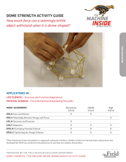 DOME STRENGTH ACTIVITY GUIDE - The Field