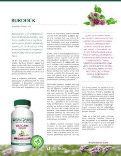 BURDOCK - L&eacute;o D&eacute;silets