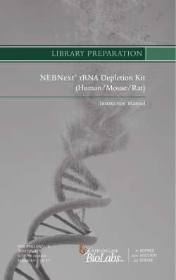 manual NEBNext rRNA Depletion Kit (Human/Mouse/Rat) E6310S